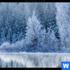 Acrylglasbild Frostiger Wald Hochformat Zoom