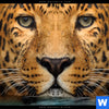 Acrylglasbild Leopard Im Wasser Panorama Zoom