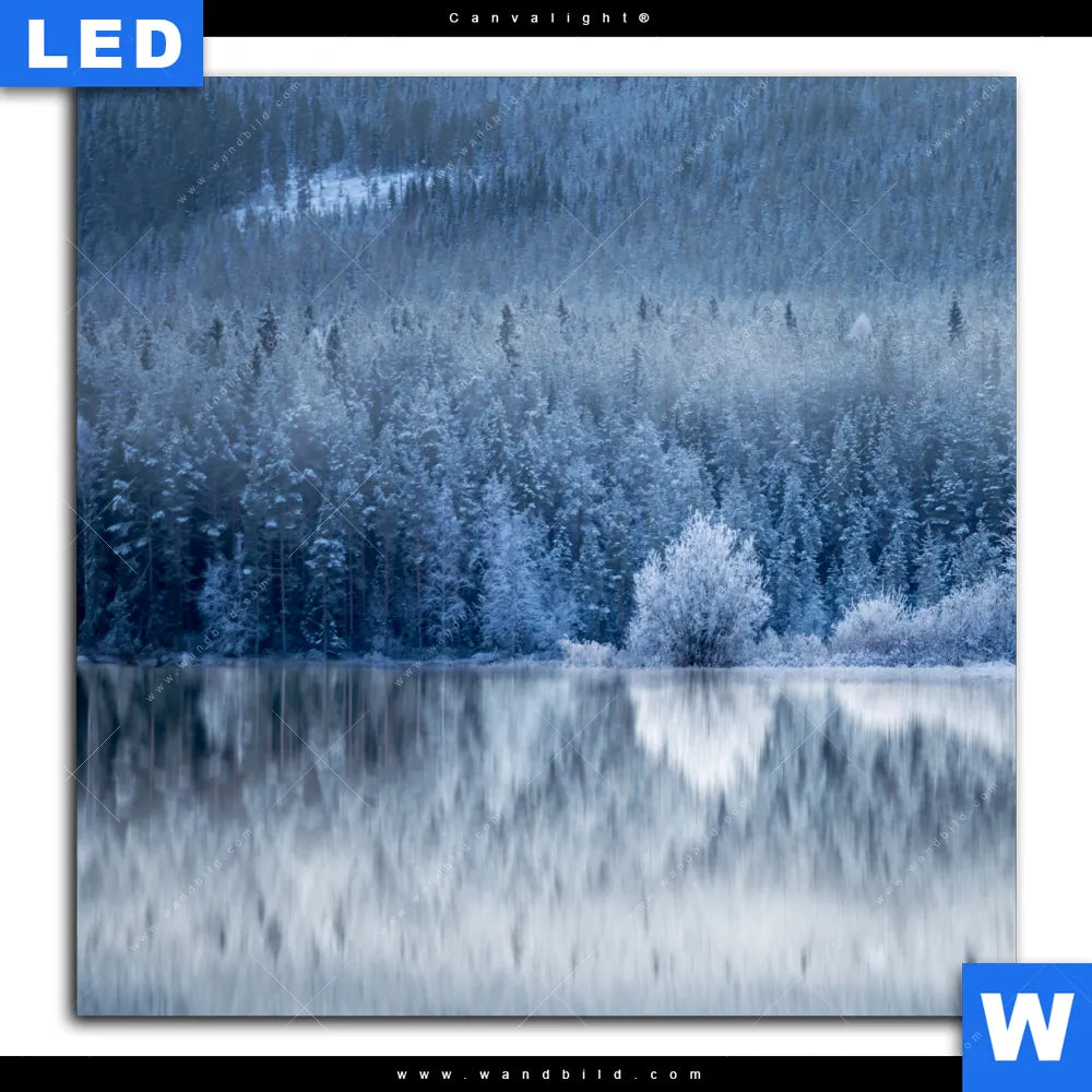 Canvalight® Leuchtbild ♥️ Frostiger Wald | Quadrat | wandbild.com